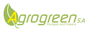 Bienvenidos a Agrogreen S.A. - Follages and Flowers